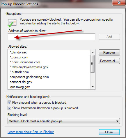 Place your cuser in the "Address of website to allow:"