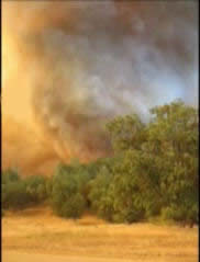 Indians Fire