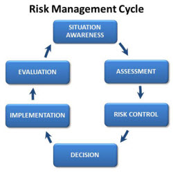 Image showing the steps in the Risk Management Cycle. 