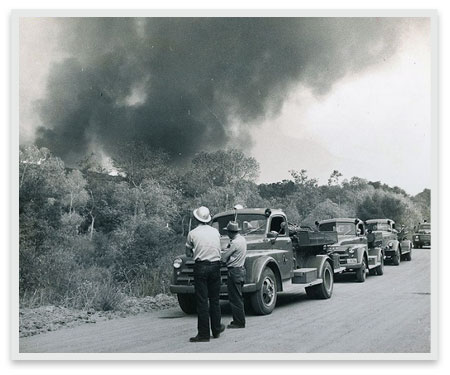 Park personnel stand next to a line of trucks on a dirt road and watch as the 1956 Inaja Fire burns.